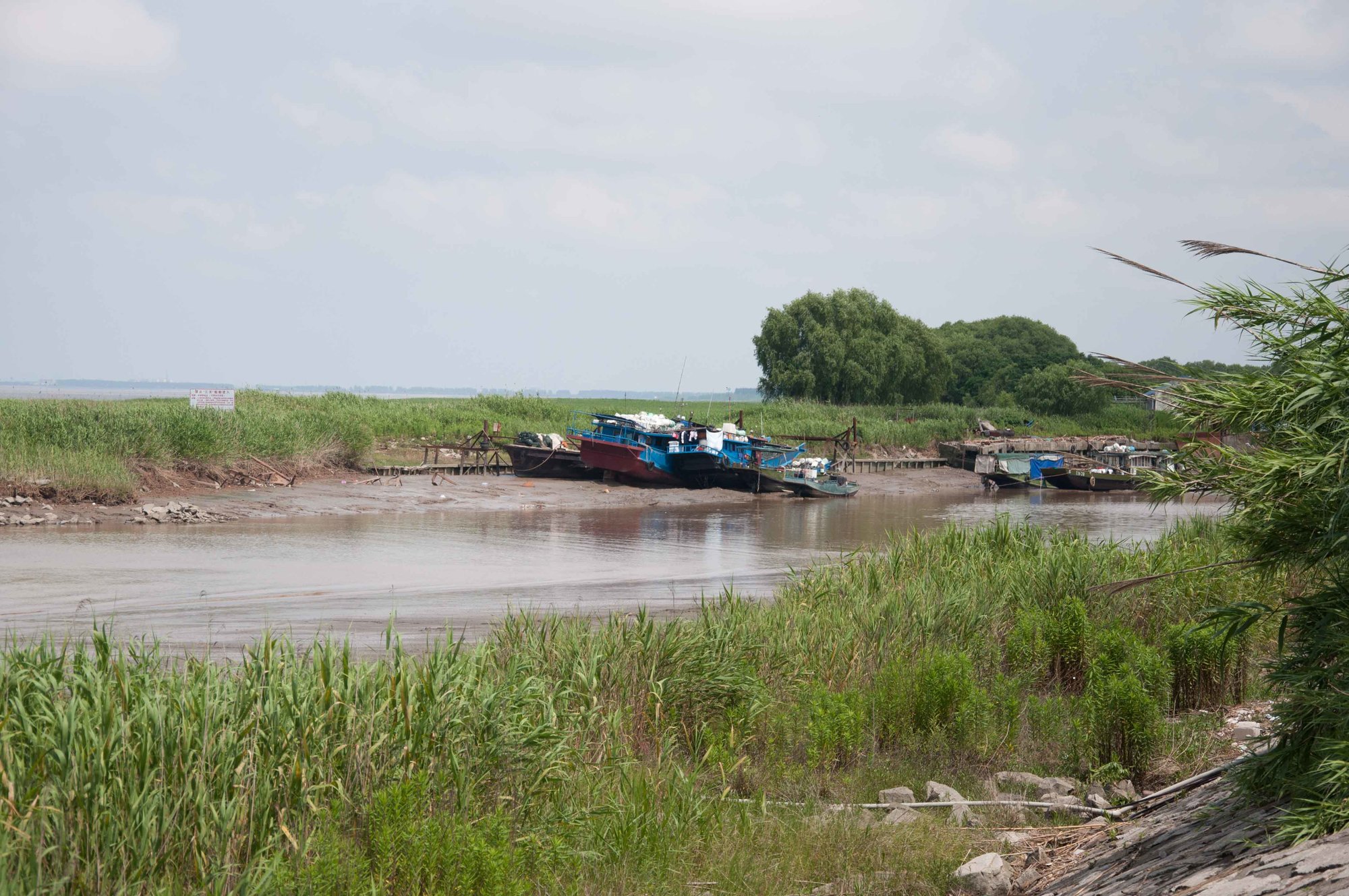 chongming island pri sanghaji