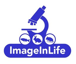 “Image In Life“ – new European project at STUBA