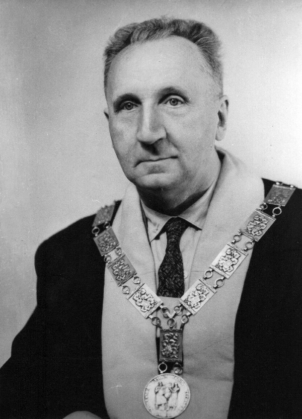 prof. Ing. Dr. techn. Karel Havelka, DrSc.