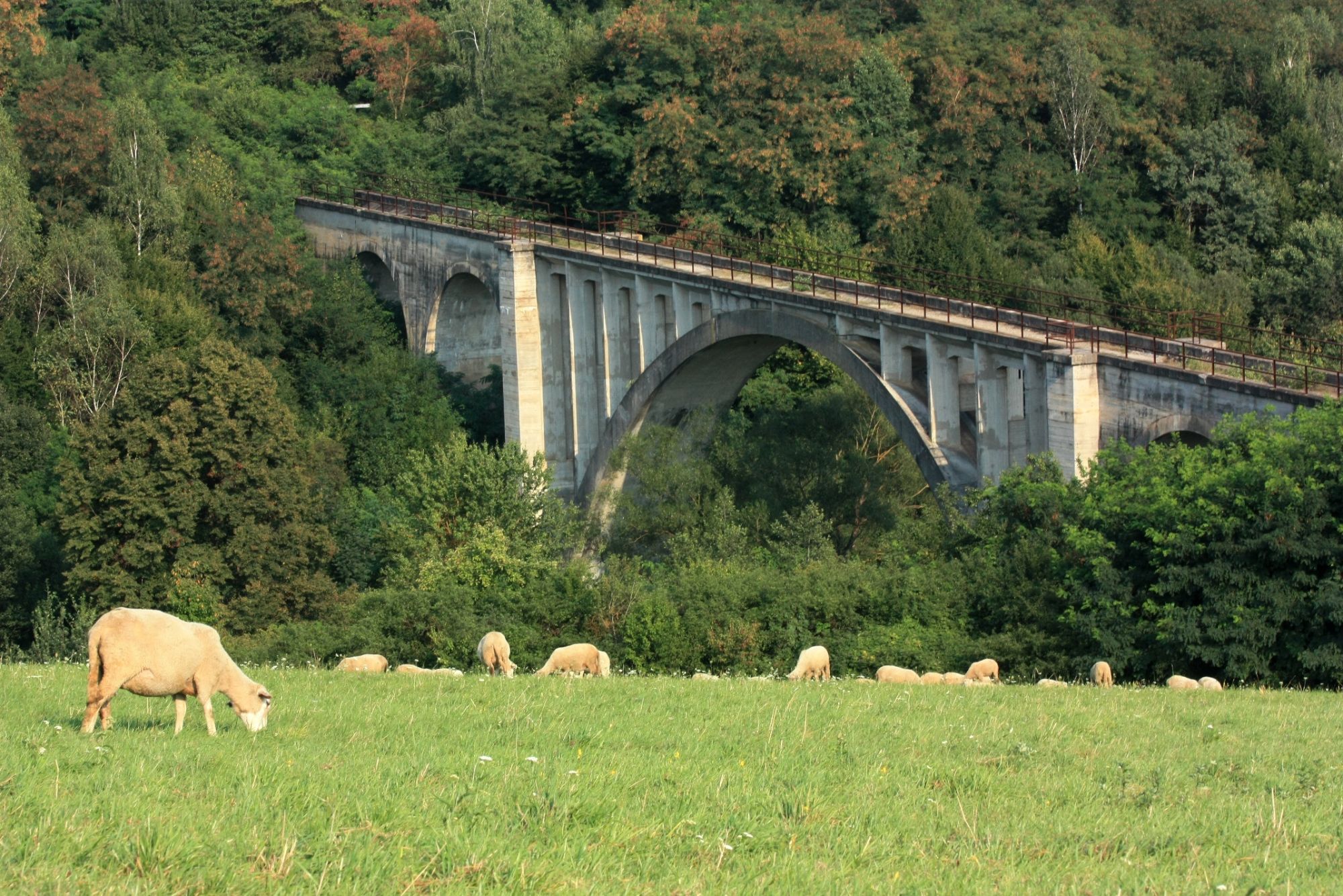 viaduknt Mnišany