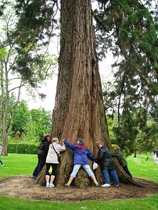 Birr castle