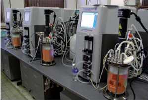 Bioreaktorová jednotka na enzýmové a mikrobiálne optimalizácie